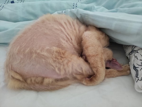 לוותר על התקווה