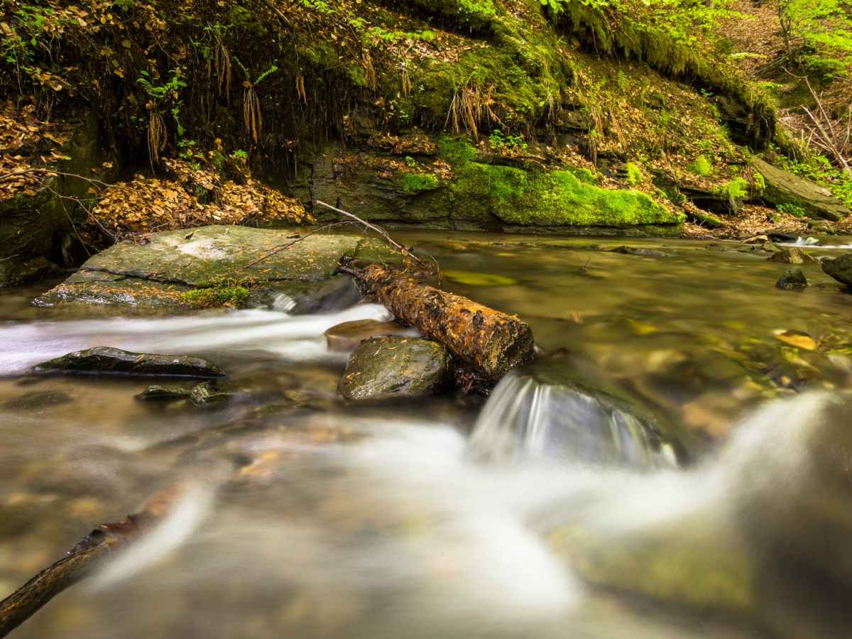 אי היאחזות/ המעיין&nbsp;שלי